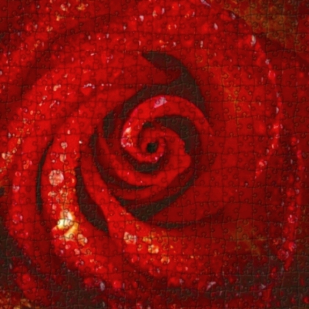 Beautiful Ruby Red Rose 1000pc Puzzle Lover Gift Roses Flower Romantic Floral